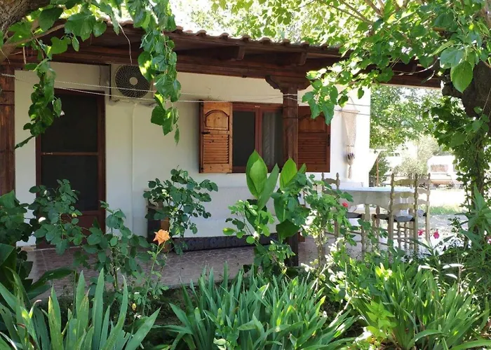 Evgenia\'S House